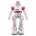 Interactive Intelligent Robot 